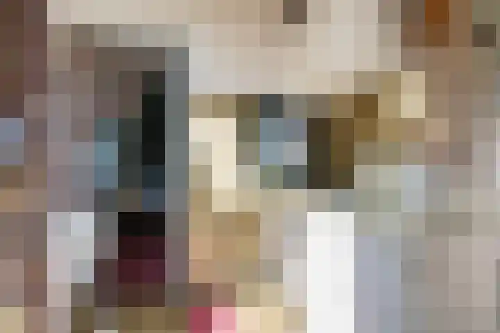 Nieuwebildtzijl F 30 Hallum thumbnail 6
