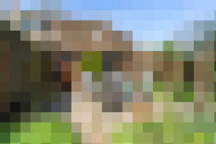Nieuwebildtzijl F 30 Hallum thumbnail 9