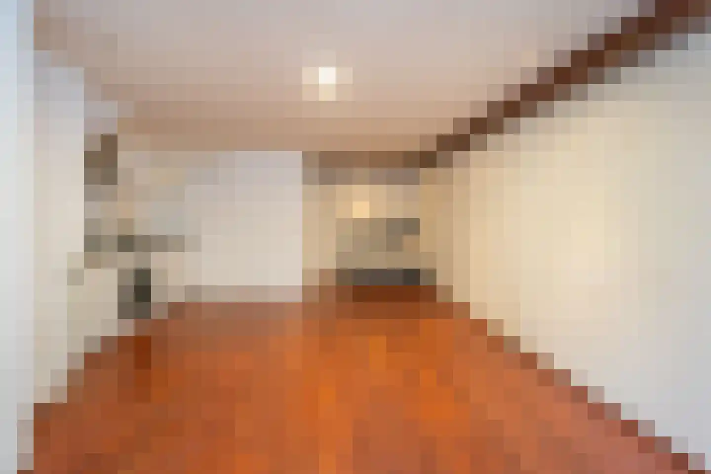 Nieuwebrugsteeg 14 Leiden thumbnail 14