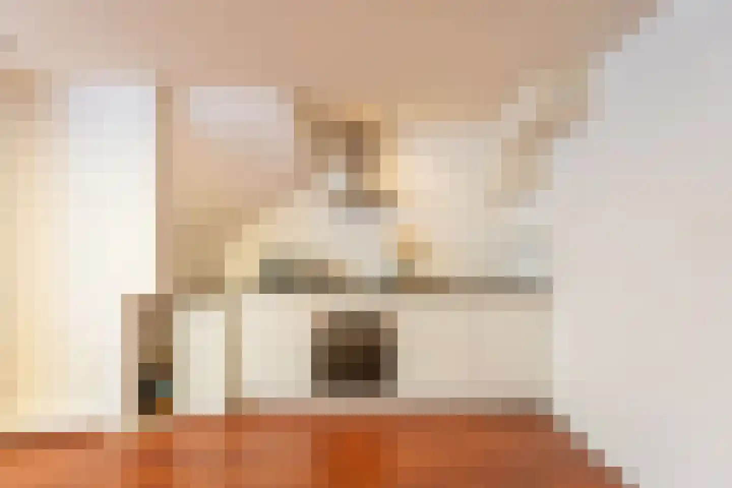 Nieuwebrugsteeg 14 Leiden thumbnail 15