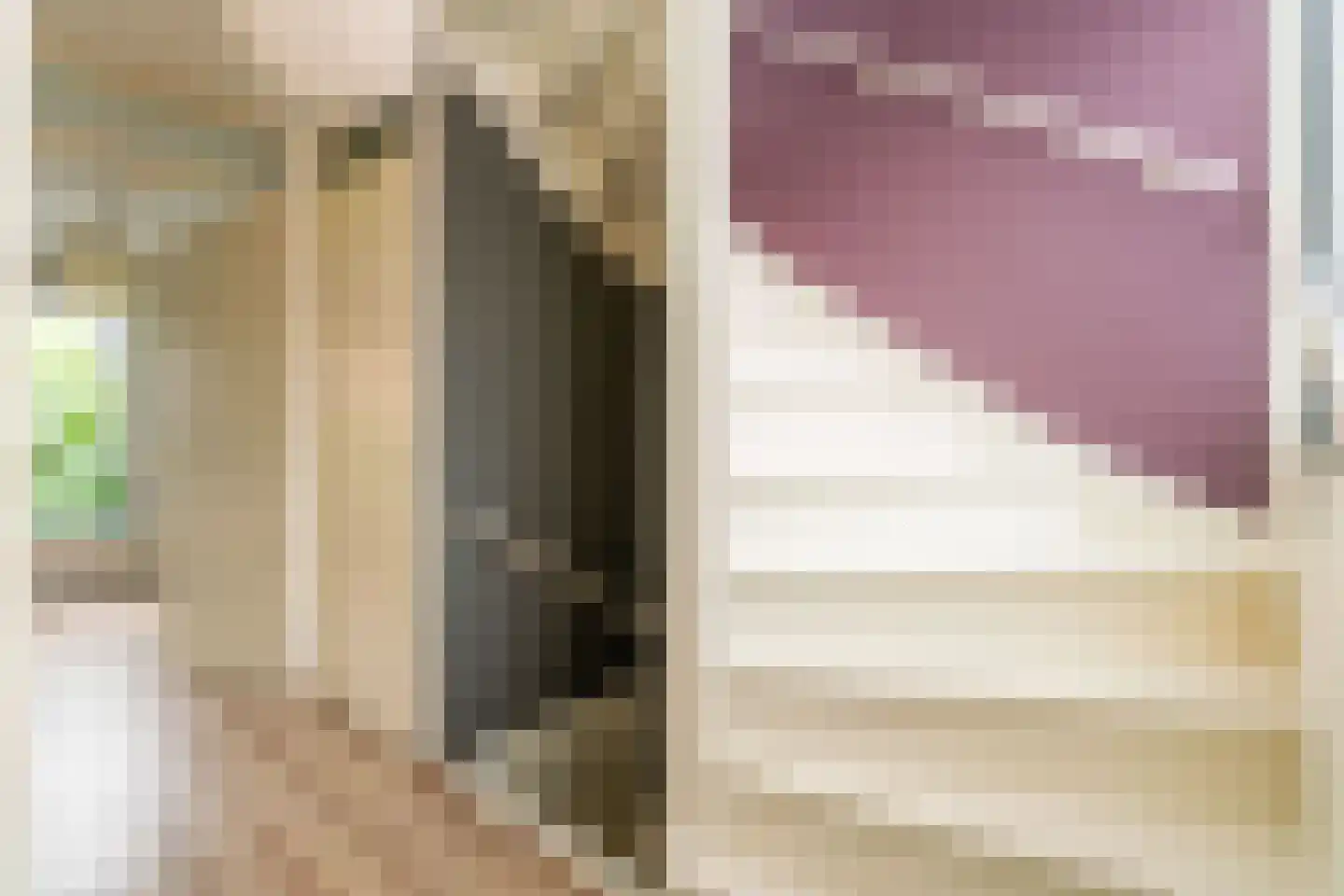 Nieuwebrugsteeg 19 Leiden thumbnail 17