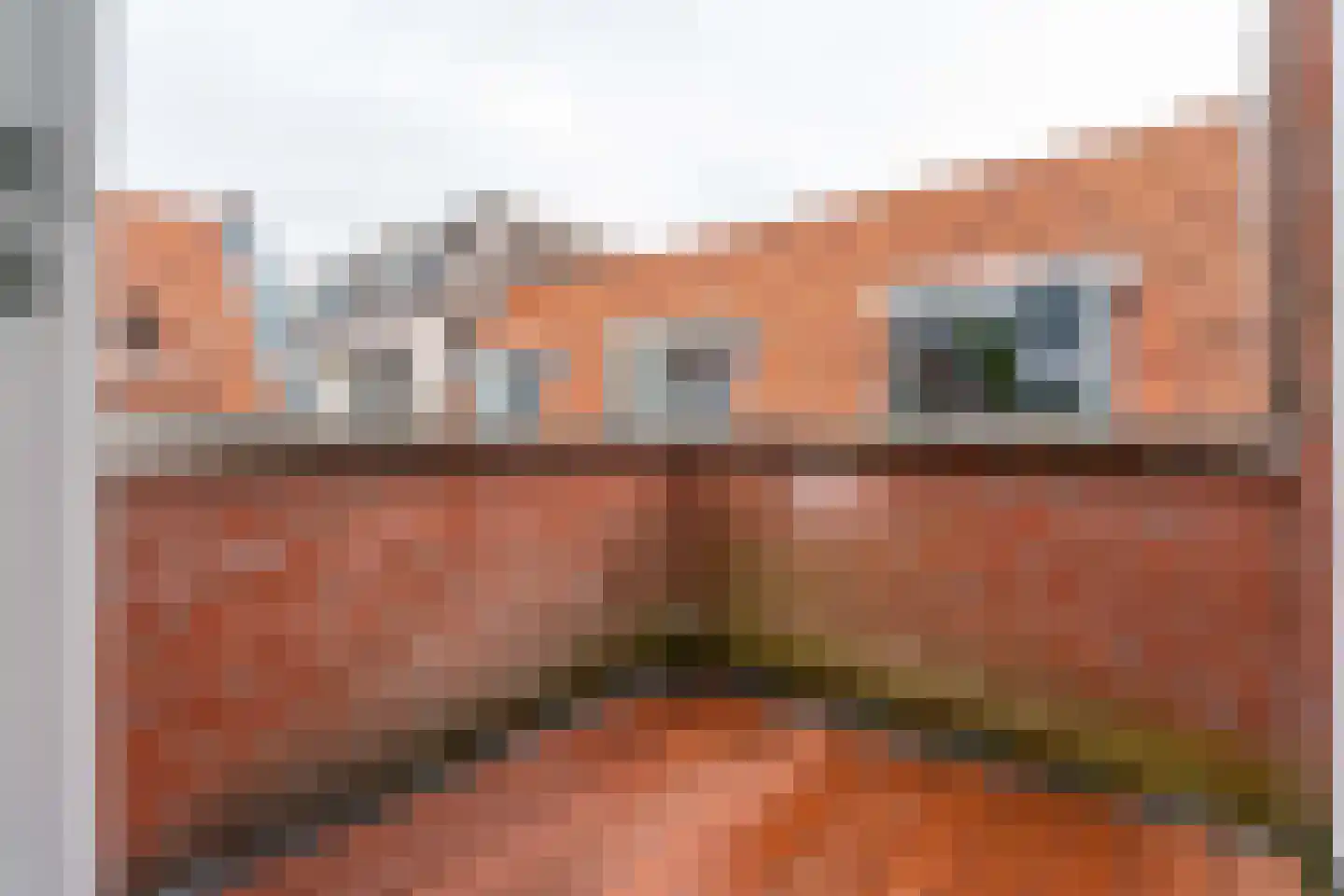 Nieuwebrugsteeg 19 Leiden thumbnail 18
