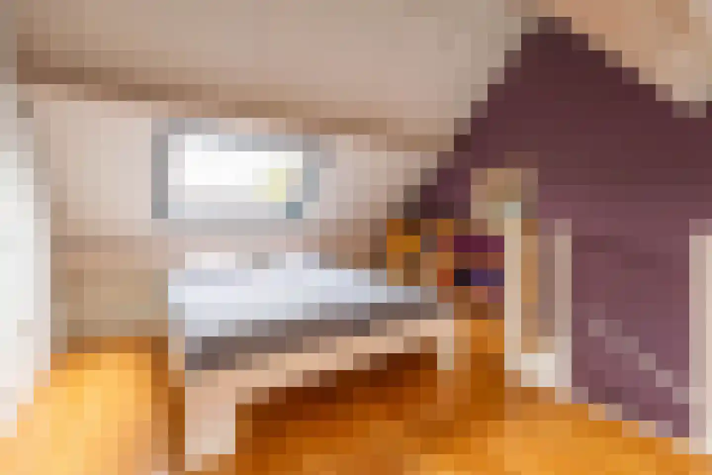 Nieuwebrugsteeg 19 Leiden thumbnail 20