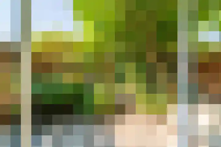 Nieuwebrugsteeg 19 Leiden thumbnail 22