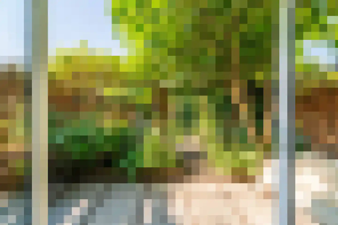 Nieuwebrugsteeg 19 Leiden thumbnail 22