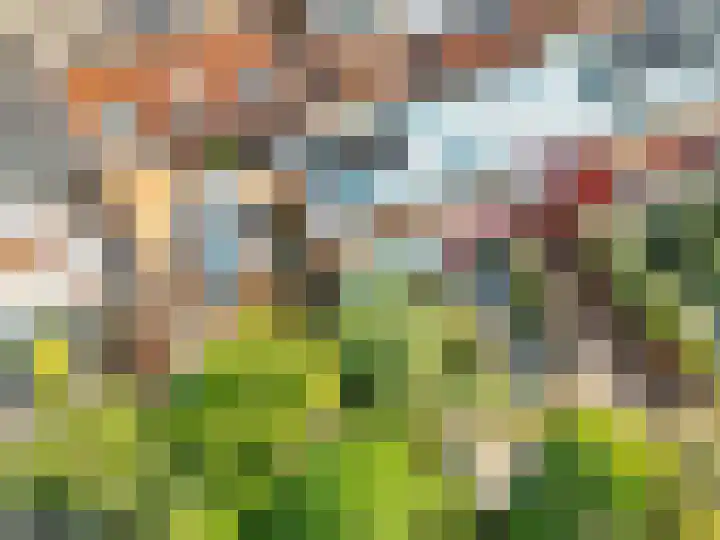 Nieuwebrugsteeg 19 Leiden thumbnail 29
