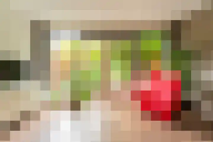 Nieuwebrugsteeg 19 Leiden thumbnail 5