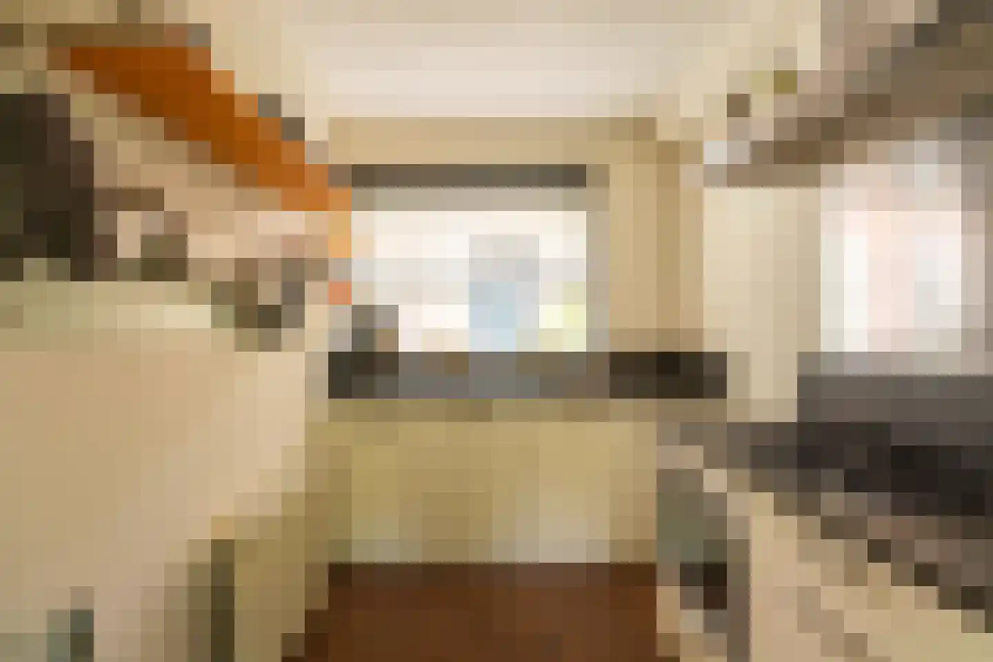 Nieuwebrugsteeg 19 Leiden thumbnail 7