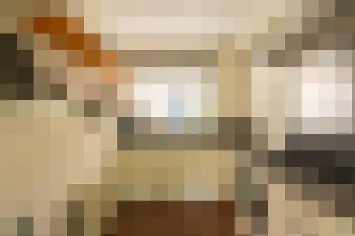 Nieuwebrugsteeg 19 Leiden thumbnail 7