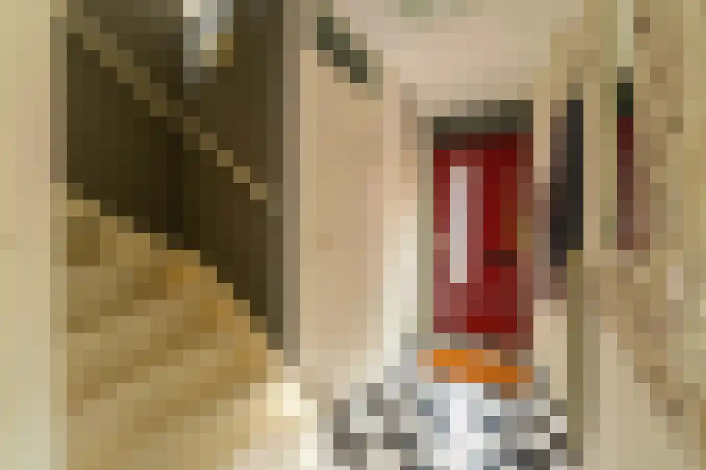 Nieuwebrugsteeg 19 Leiden thumbnail 8