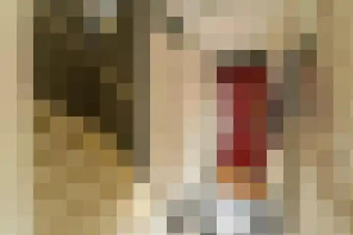 Nieuwebrugsteeg 19 Leiden thumbnail 8