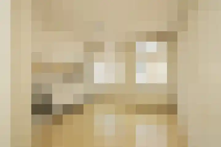 Nieuwebrugsteeg 2 E Leiden thumbnail 14