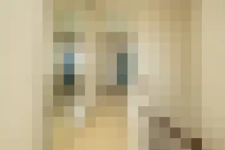 Nieuwebrugsteeg 2 E Leiden thumbnail 32