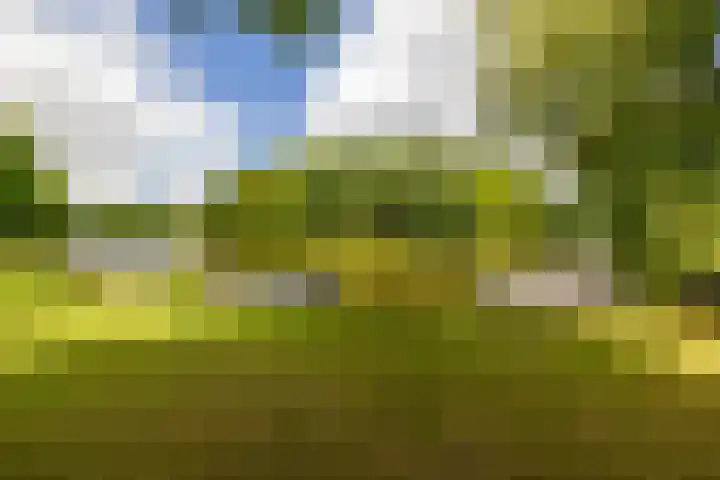 Nieuwebrugsteeg 2 E Leiden thumbnail 43