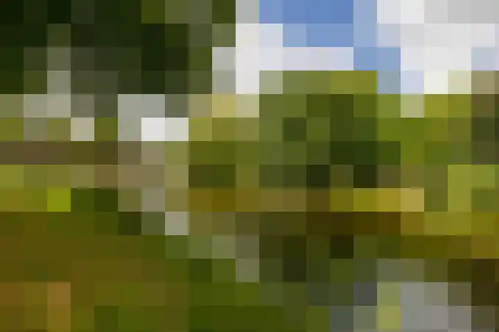 Nieuwebrugsteeg 2 E Leiden thumbnail 44