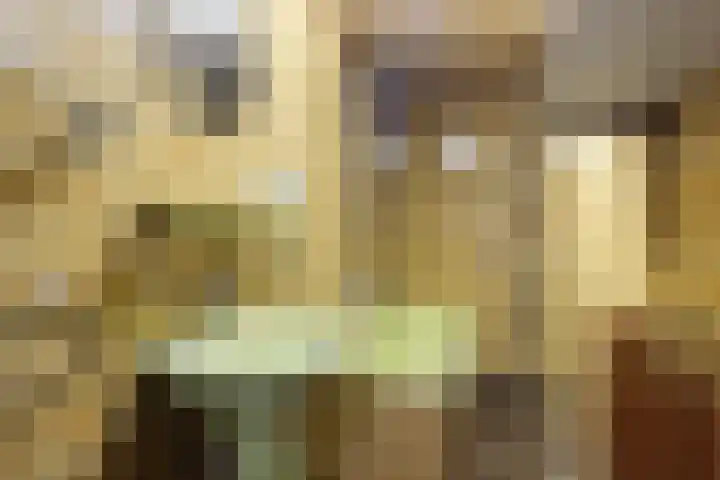 Nieuweburen 134 Leeuwarden thumbnail 17
