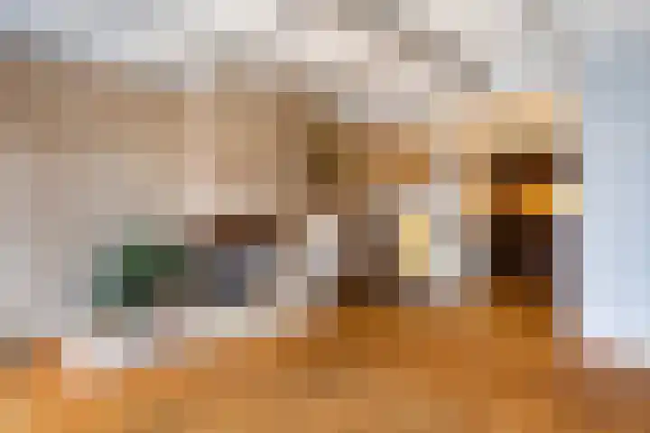 Nieuweburen 134 Leeuwarden thumbnail 22