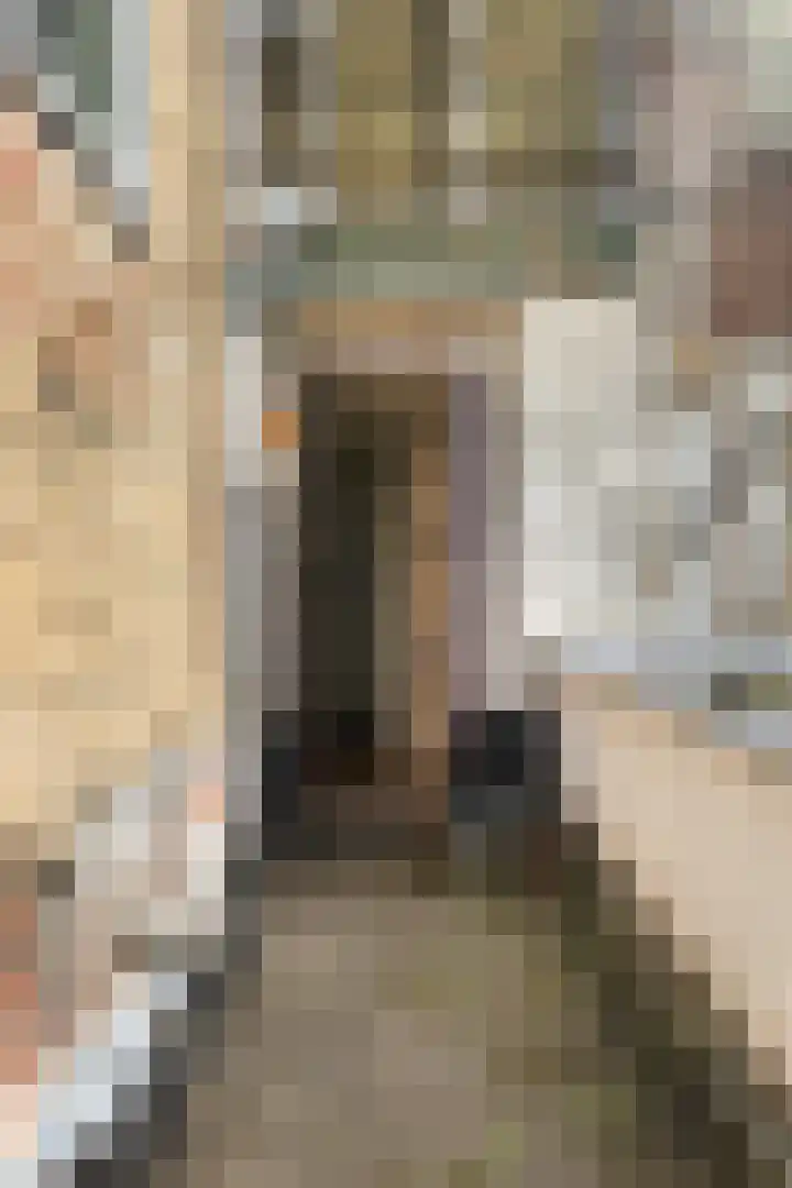 Nieuweburen 134 Leeuwarden thumbnail 30