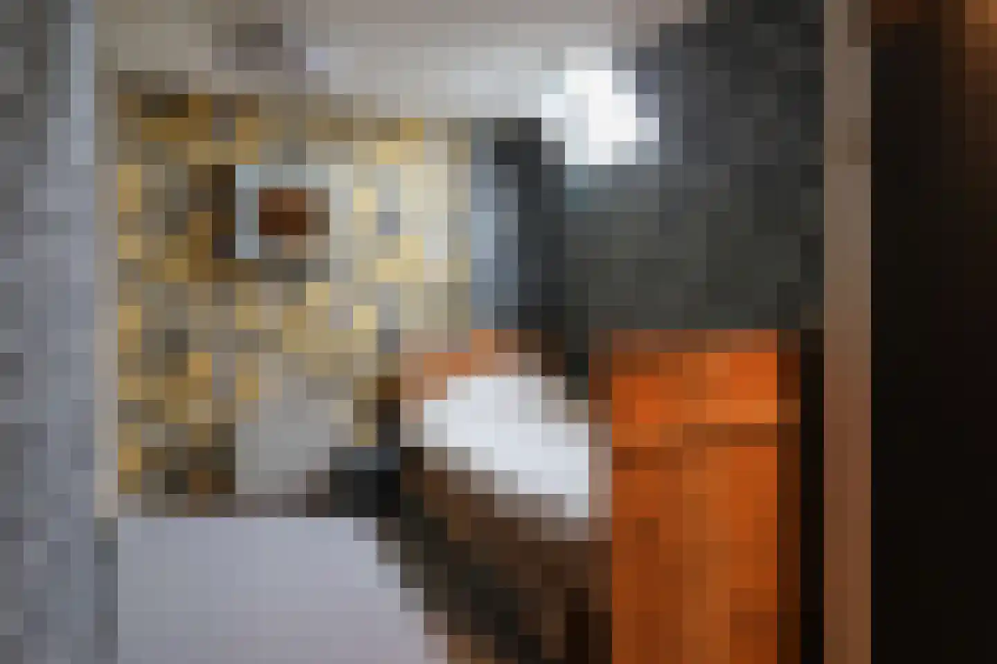 Nieuweburen 134 Leeuwarden thumbnail 61