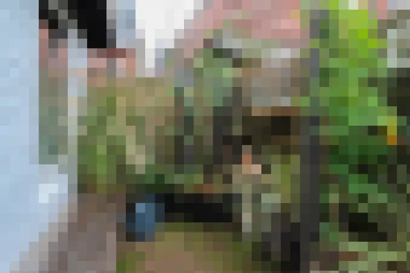 Nieuweburen 134 Leeuwarden thumbnail 7