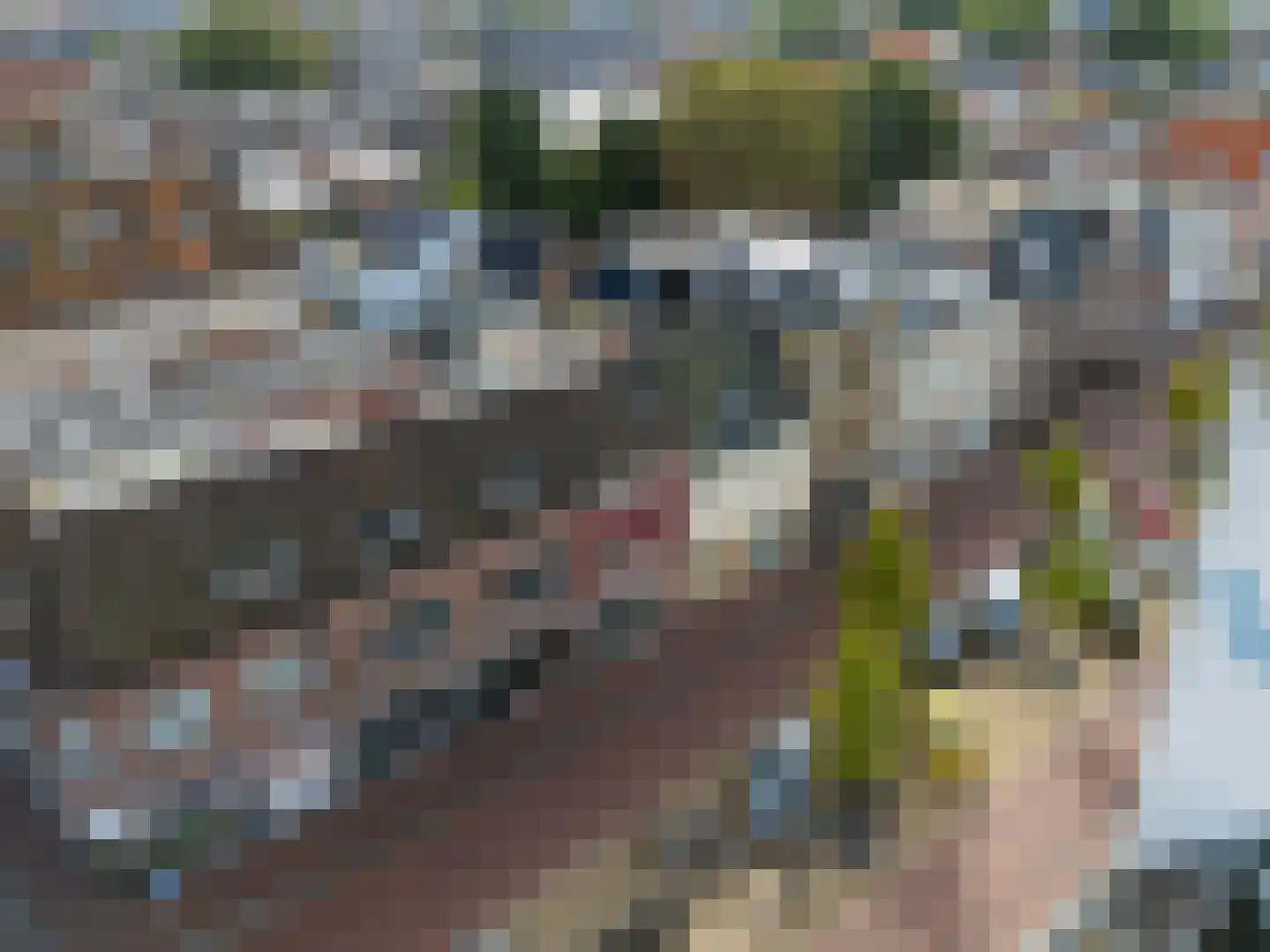 Nieuweburen 134 Leeuwarden thumbnail 9