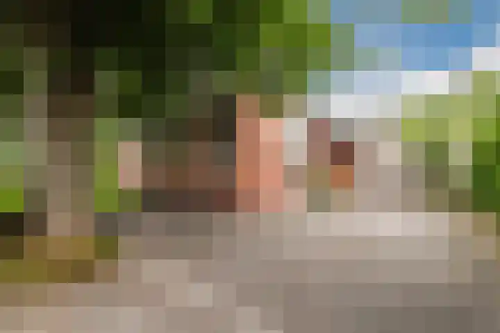 Nieuwediep 125 Nieuwediep foto 3