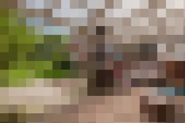 Nieuwediep 125 Nieuwediep thumbnail 34