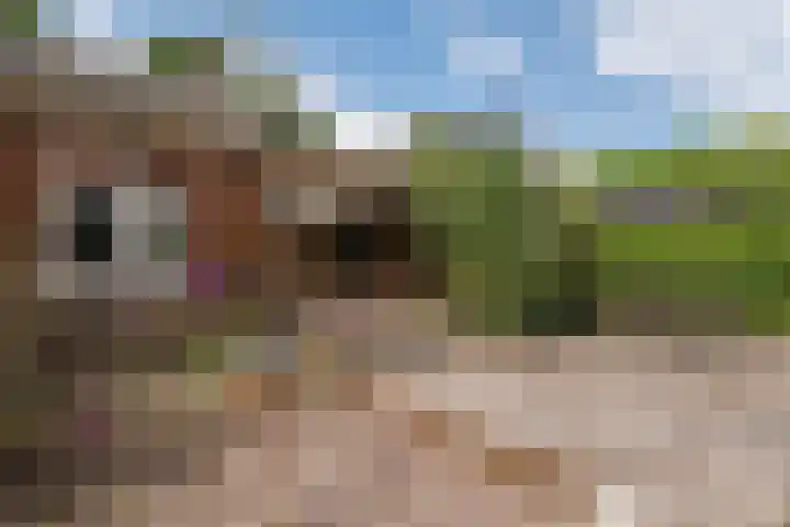 Nieuwediep 125 Nieuwediep thumbnail 35