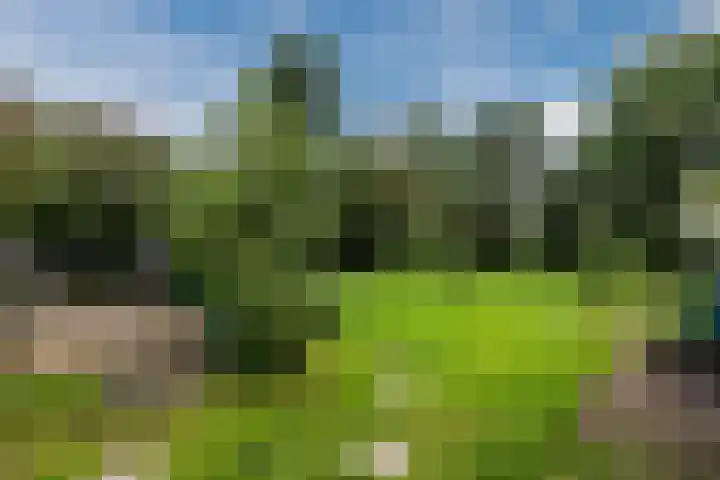 Nieuwediep 125 Nieuwediep thumbnail 36