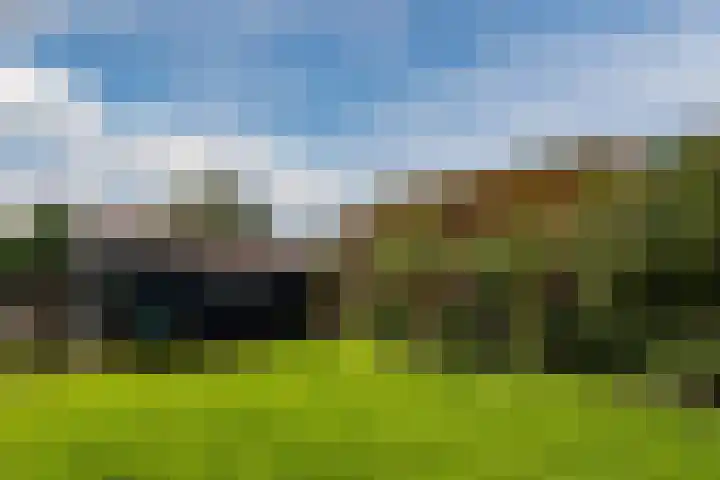 Nieuwediep 125 Nieuwediep thumbnail 37