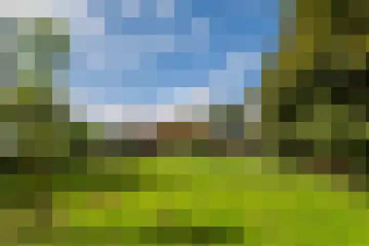 Nieuwediep 125 Nieuwediep thumbnail 38