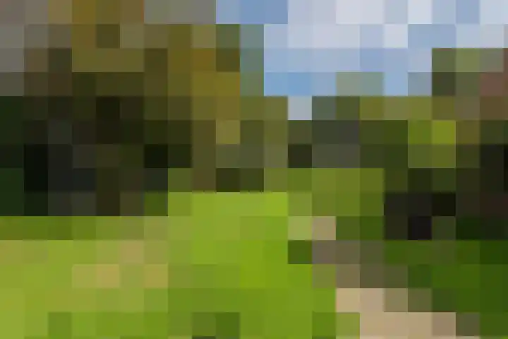 Nieuwediep 125 Nieuwediep thumbnail 39