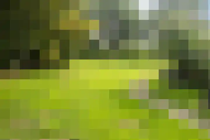 Nieuwediep 125 Nieuwediep thumbnail 41