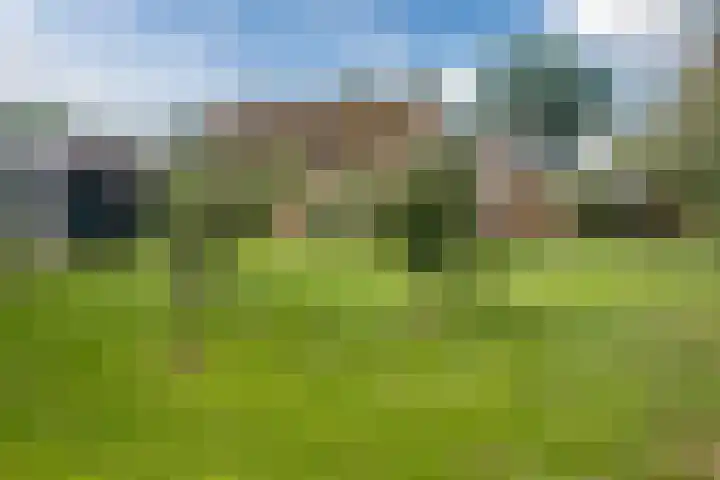 Nieuwediep 125 Nieuwediep thumbnail 42