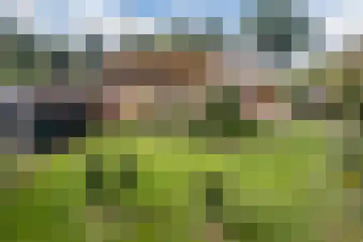 Nieuwediep 125 Nieuwediep thumbnail 43