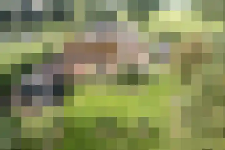Nieuwediep 125 Nieuwediep thumbnail 44