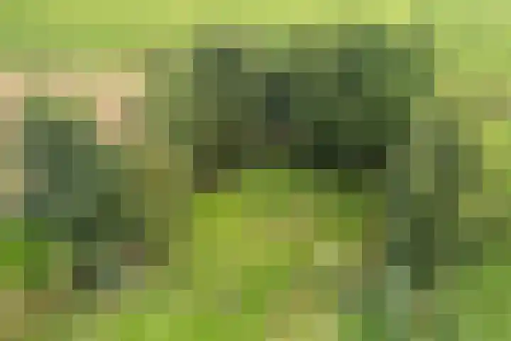 Nieuwediep 125 Nieuwediep thumbnail 45