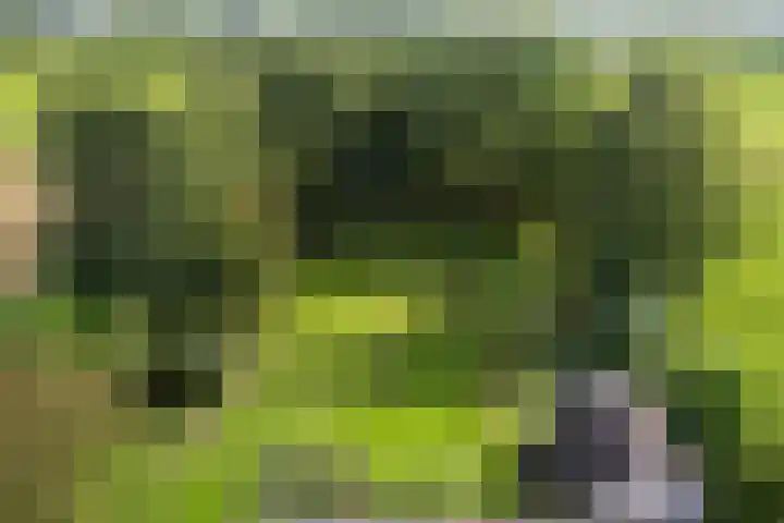 Nieuwediep 125 Nieuwediep thumbnail 46