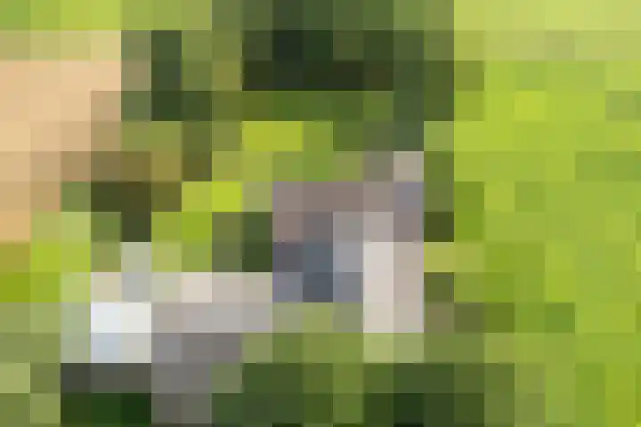 Nieuwediep 125 Nieuwediep thumbnail 48