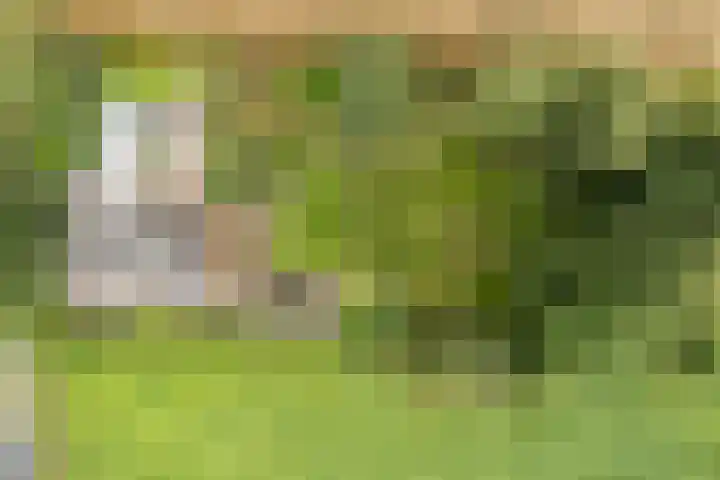 Nieuwediep 125 Nieuwediep thumbnail 51
