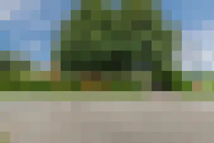 Nieuwediep 125 Nieuwediep thumbnail 52