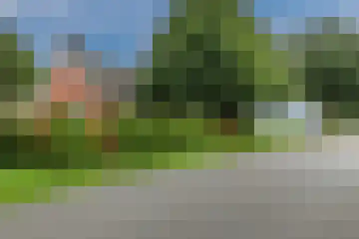 Nieuwediep 125 Nieuwediep thumbnail 53