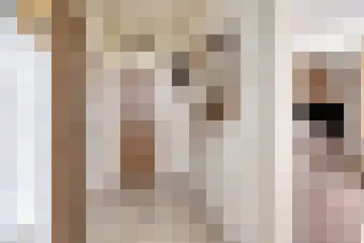 Nieuwediep 18 Nieuwediep thumbnail 10