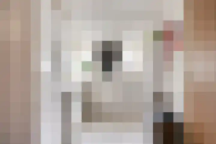 Nieuwediep 18 Nieuwediep thumbnail 19
