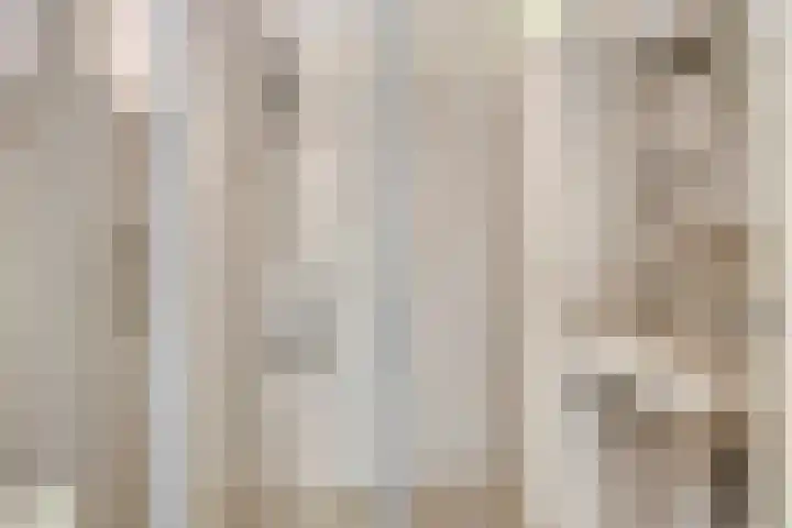 Nieuwediep 18 Nieuwediep thumbnail 24