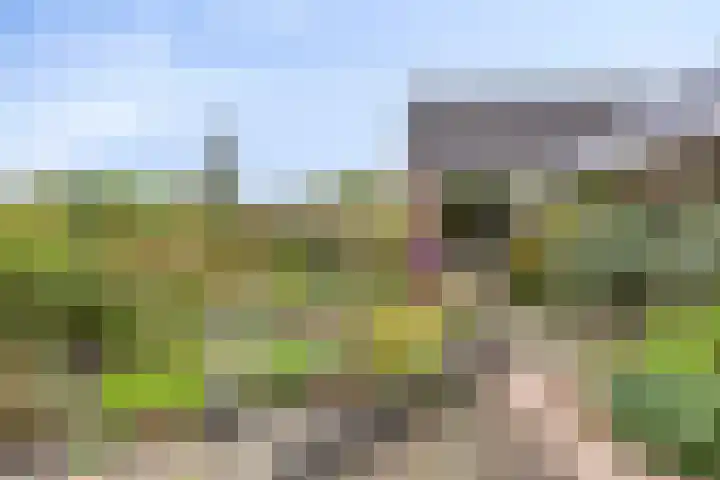 Nieuwediep 18 Nieuwediep thumbnail 32