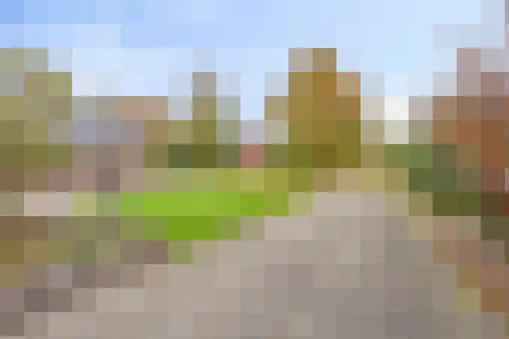 Nieuwediep 18 Nieuwediep thumbnail 33