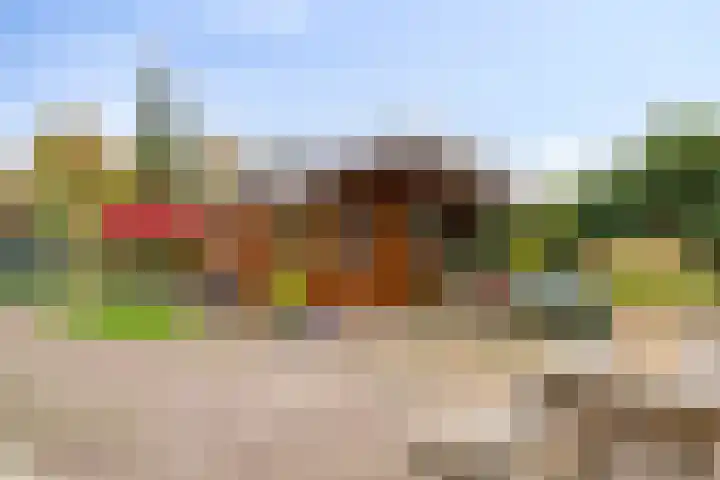 Nieuwediep 18 Nieuwediep thumbnail 37