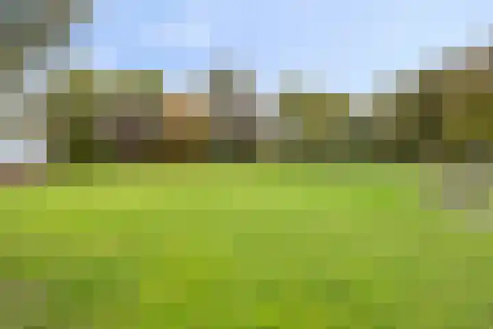 Nieuwediep 18 Nieuwediep thumbnail 39