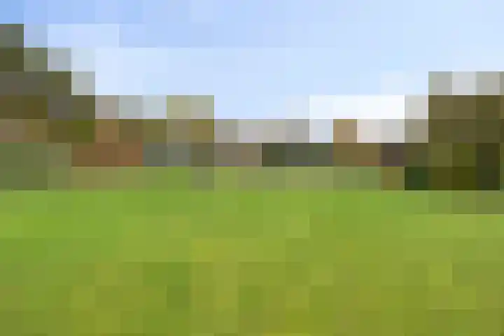Nieuwediep 18 Nieuwediep thumbnail 40